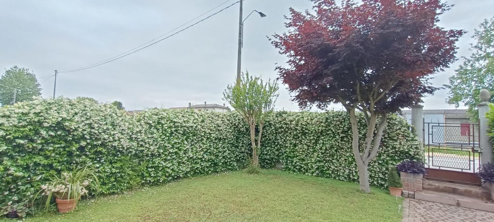 B&B We Care Appartamento Lendinara Esterno foto